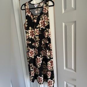 Cinch waist sleeveless LulaRoe dress.
